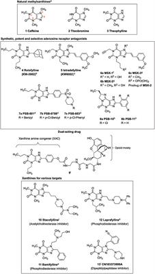 Fast, Efficient, and Versatile Synthesis of 6-amino-5-carboxamidouracils as Precursors for 8-Substituted Xanthines